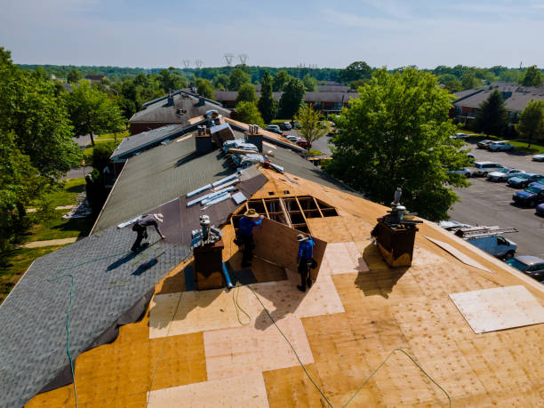 Quick and Trustworthy Emergency Roof Repair Services in Brookhaven, MS